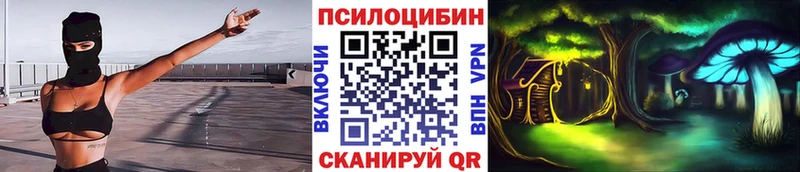 где можно купить наркотик  Тосно  Галлюциногенные грибы GOLDEN TEACHER 